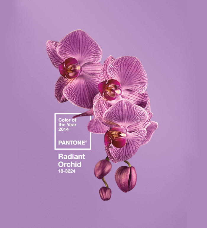 Pantone 2014