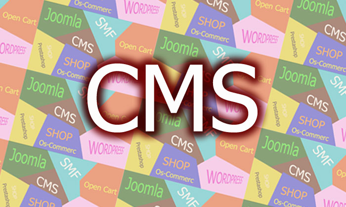 พัฒนาเว็บไซต์ด้วย CMS พัฒนาเว็บไซต์ด้วย CMS