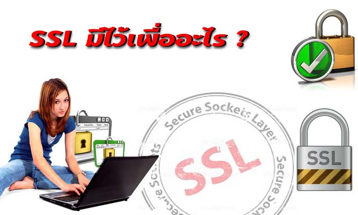 SSL มีไว้เพื่ออะไร