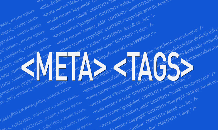 รู้จักกับ META TAG กันครับ