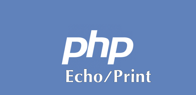 การใช้คำสั่ง ECHO และ PRINT