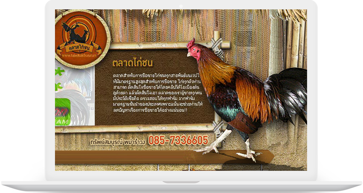 ผลงานทำเว็บ taladkaichon.com